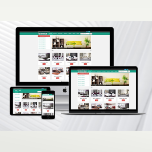 Kurumsal Web Paketi Natural v 2.0