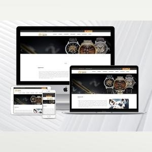 Kurumsal Web Paketi Plus v3.5