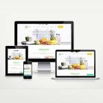 Diyetisyen Web Site Paketi Nutri v5.0