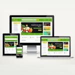 E-Ticaret Organik Paketi Mady v5.0