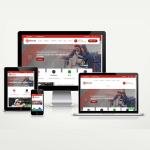 Vize - Tercüman Danışmanlık Web Paketi Vizox v6.0