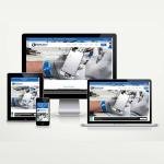 Telefon Elektronik Teknik Servis Web Paketi Setra